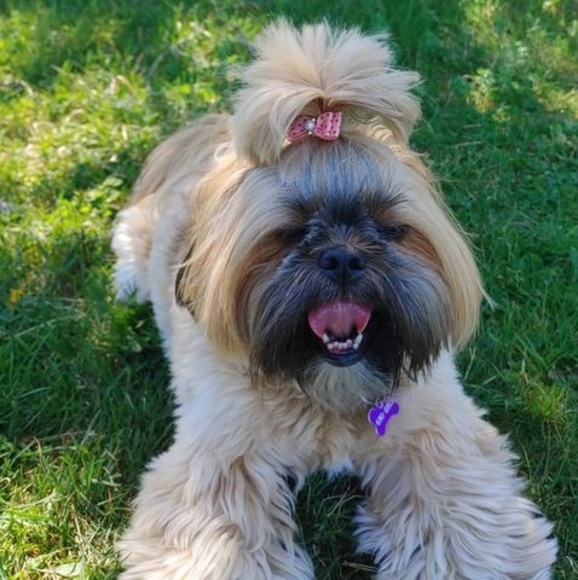 Meet your Posher, Shelly - Picture 1 of 1